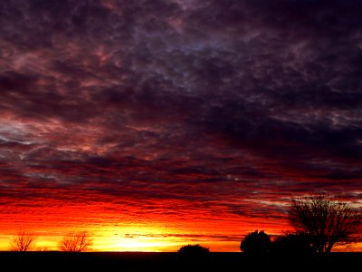 Petrified Sunset