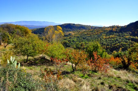 Otoño en la Sierra photo