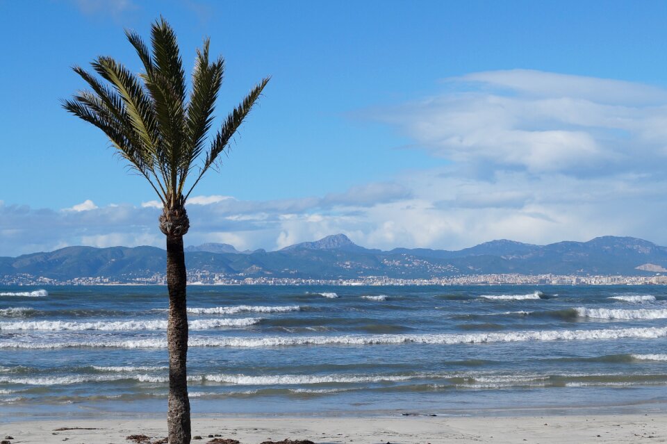 Mallorca winter playa de palma