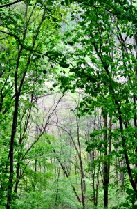 Bukhansan National Park