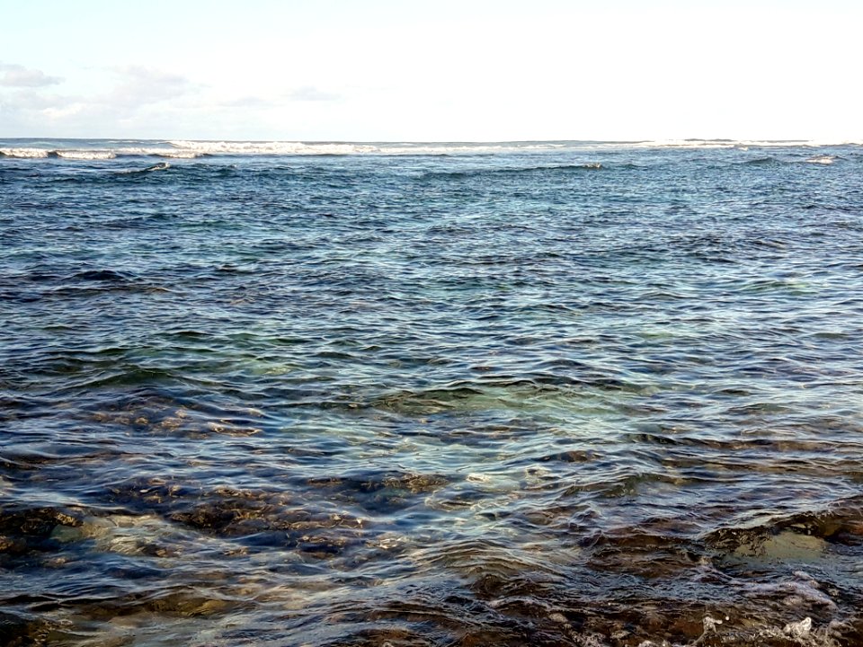 Hawaii Trip
