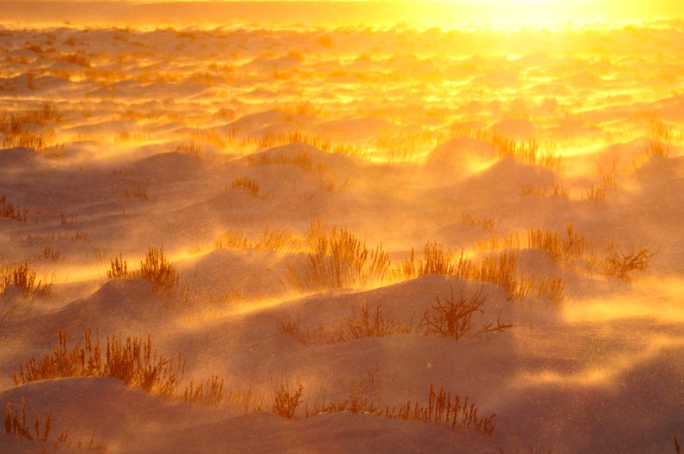 Snowy sage-steppe sunset at Seedskadee National Wildlife Refuge