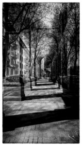 2018-05-01 coll1