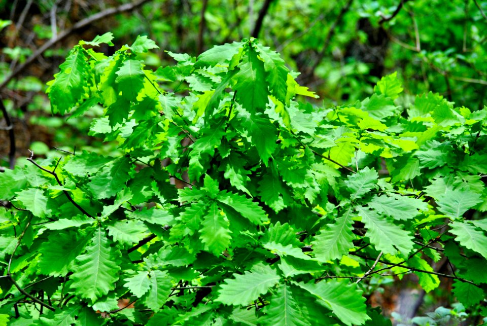 Bukhansan National Park