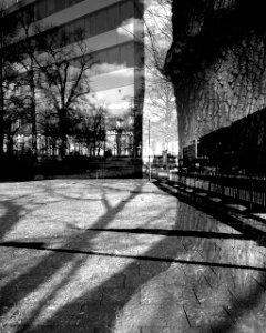 Park-Bank