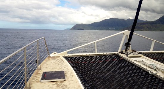 Hawaii Trip