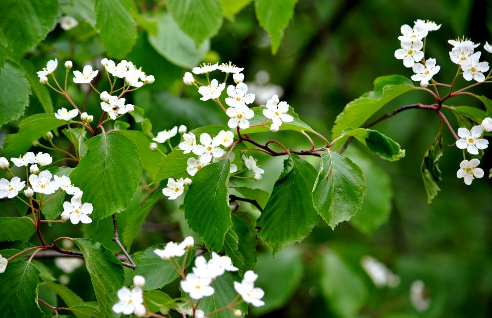 Bukhansan National Park