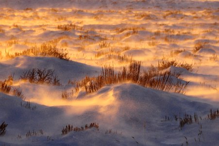 Snowy sage-steppe sunset at Seedskadee National Wildlife Refuge