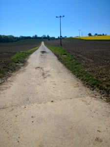 Kraichgau (bei Heidelsheim) 08.05.2016