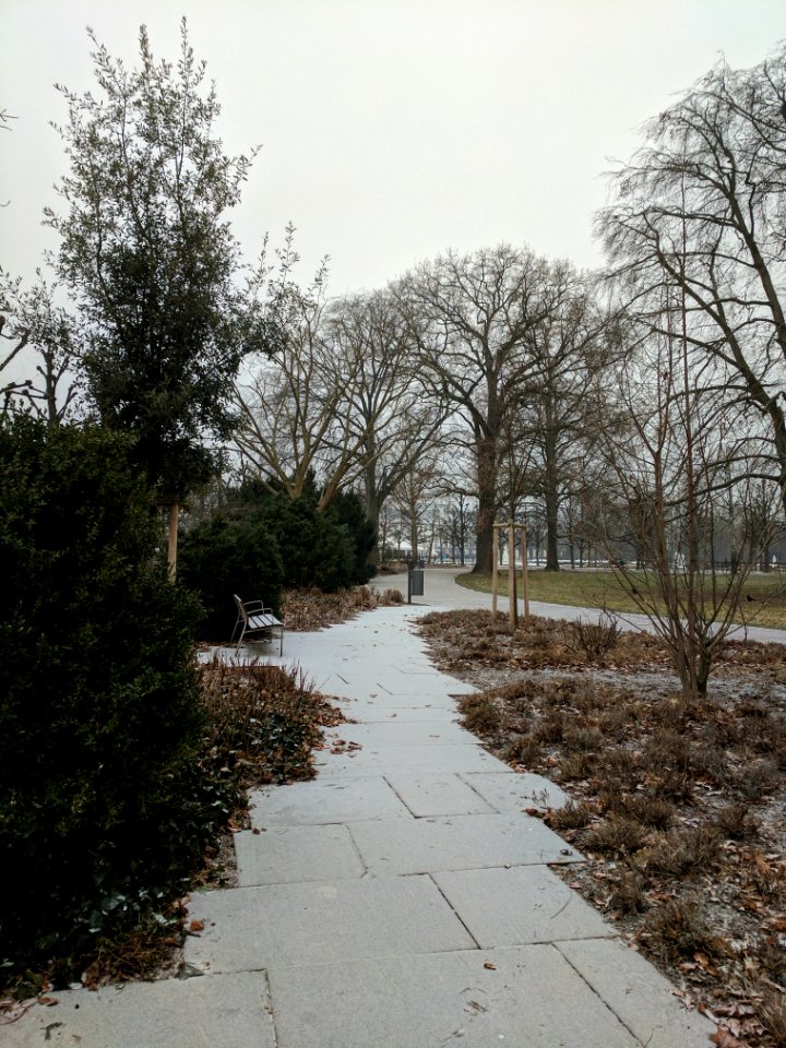 2017-01-27 10-31-37