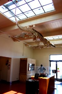 Rainbow Forest Museum