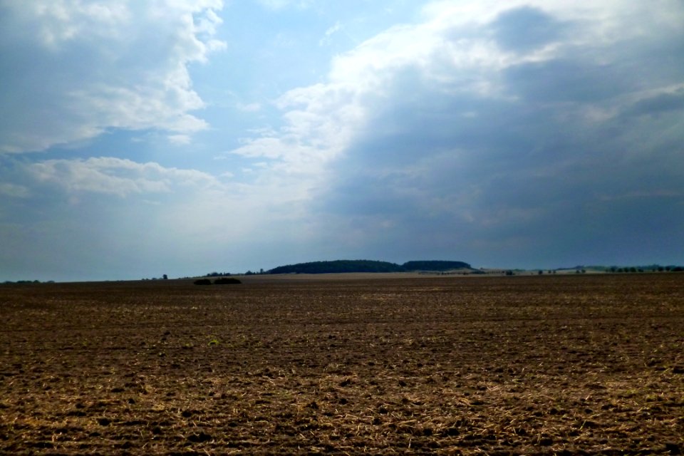 Feld und Himmel 1