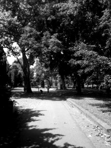 Karlsruhe, Nymphengarten