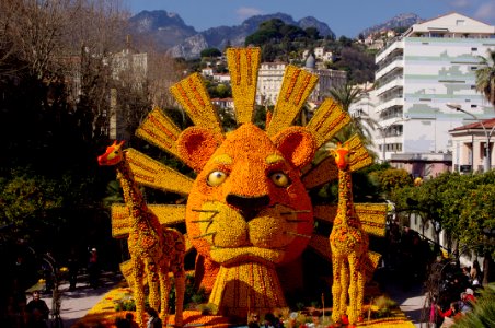 roi lion fête du citron à menton photo