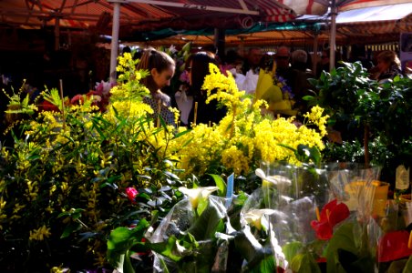 demoiselles au marché des fleurs du sud photo