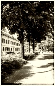 WP 20160708 011 - Kopie - Kopie (2)