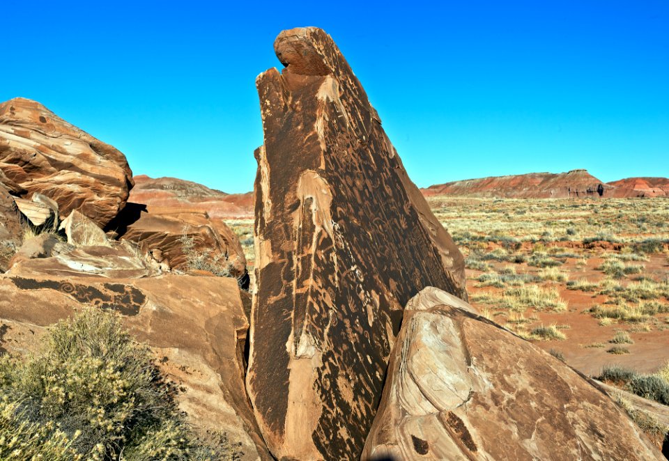 Flatiron Petroglyph Panel