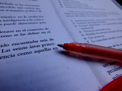 Red Pen and Text