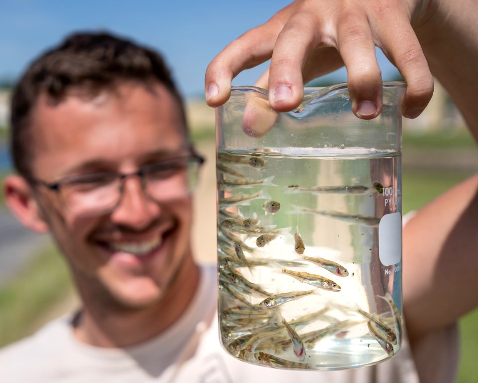 Walleye fingerlings at Gavins Point NFH