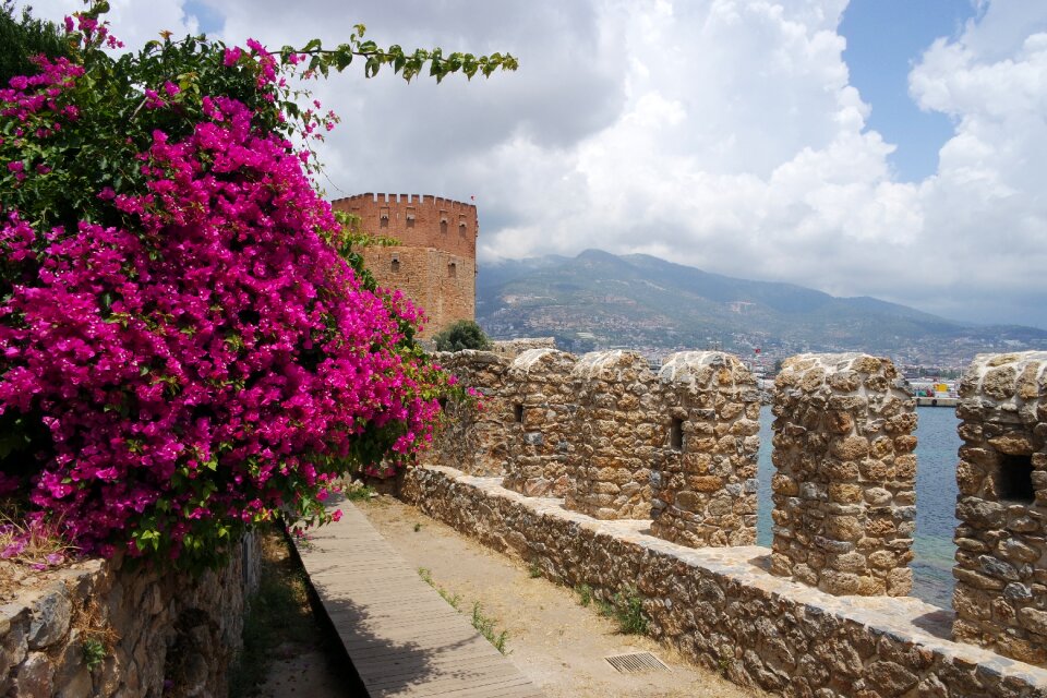 Castle building fort