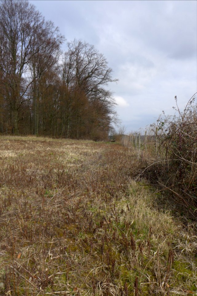 P1050720