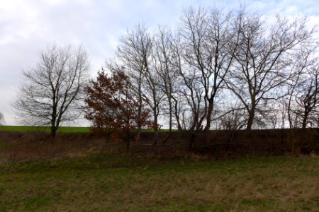 P1050475