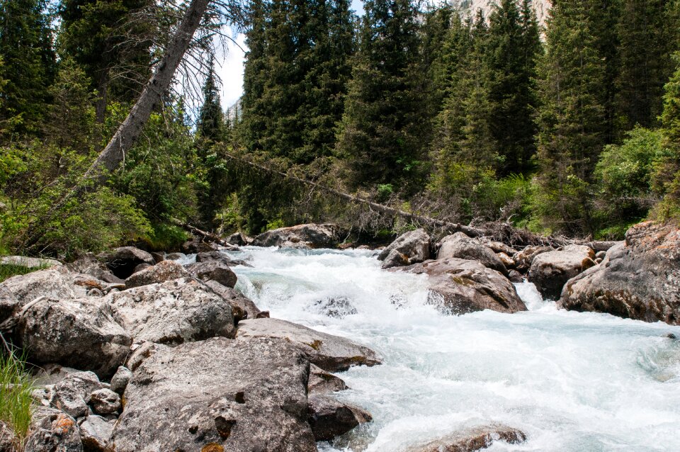 Green water landscape