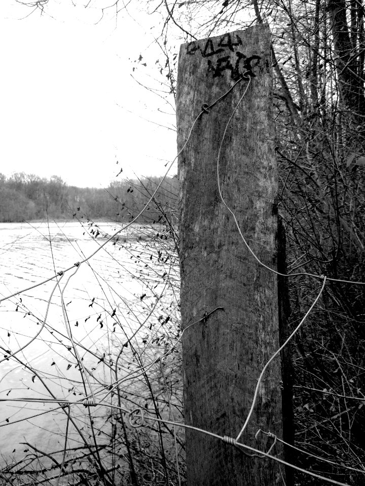 am See