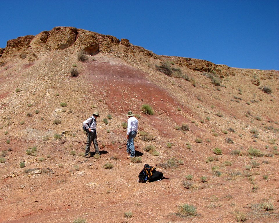 Mesa Redondo Member, Chinle Formation