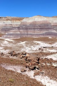 08-13-17 Blue Mesa Trail HL (27)