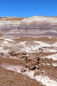 08-13-17 Blue Mesa Trail HL (27) photo