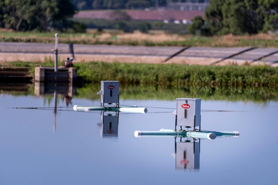Automatic Fish Feeders on Pond