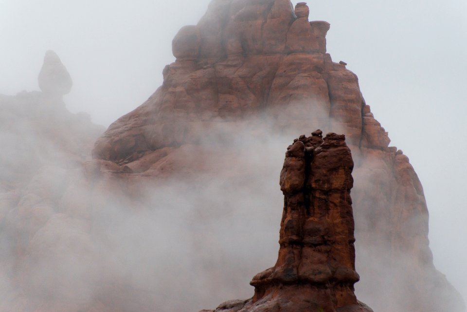 Foggy Morning at the Garden of Eden