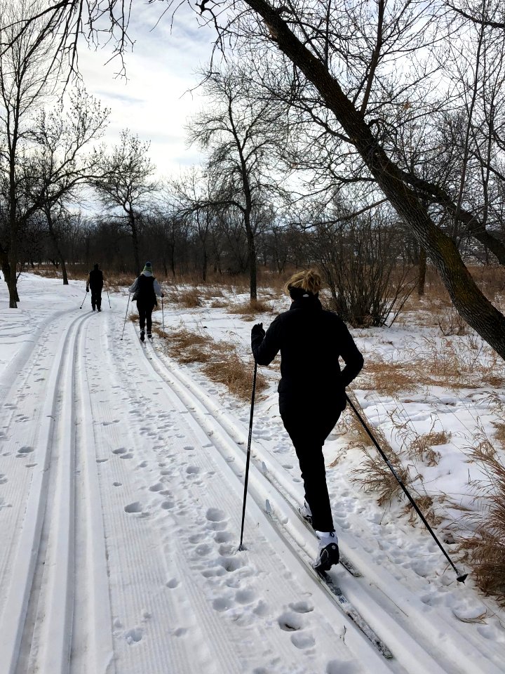 Skiiers out enjoying the trails