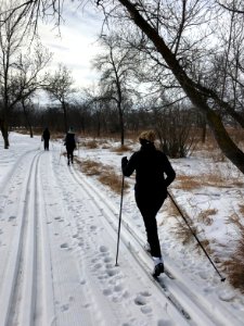 Skiiers out enjoying the trails