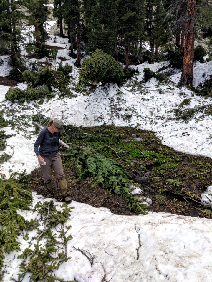Avalanche debris