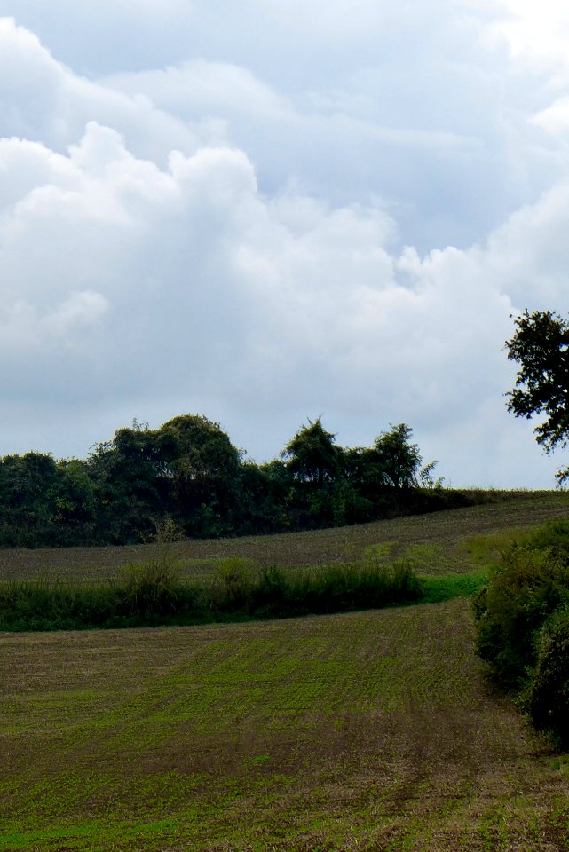 Landschaft im Kraichgau