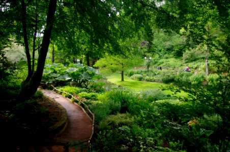 jardin du p