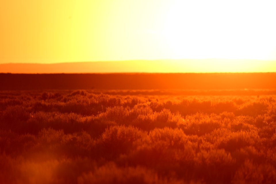 Sagebrush sunset at Seedskadee National Wildlife Refuge
