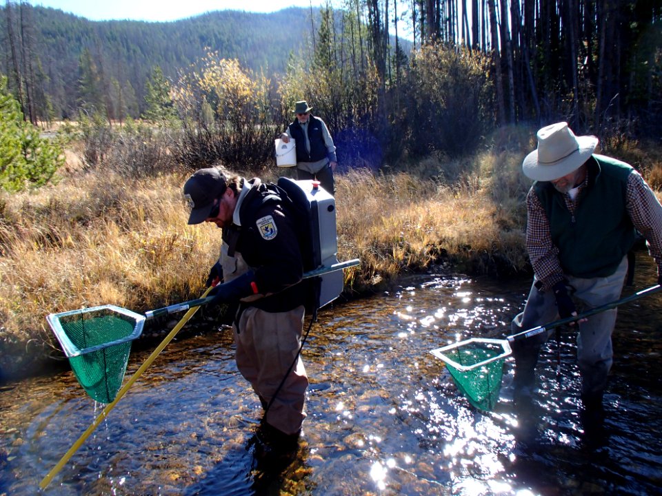 Fish Sampling in RMNP