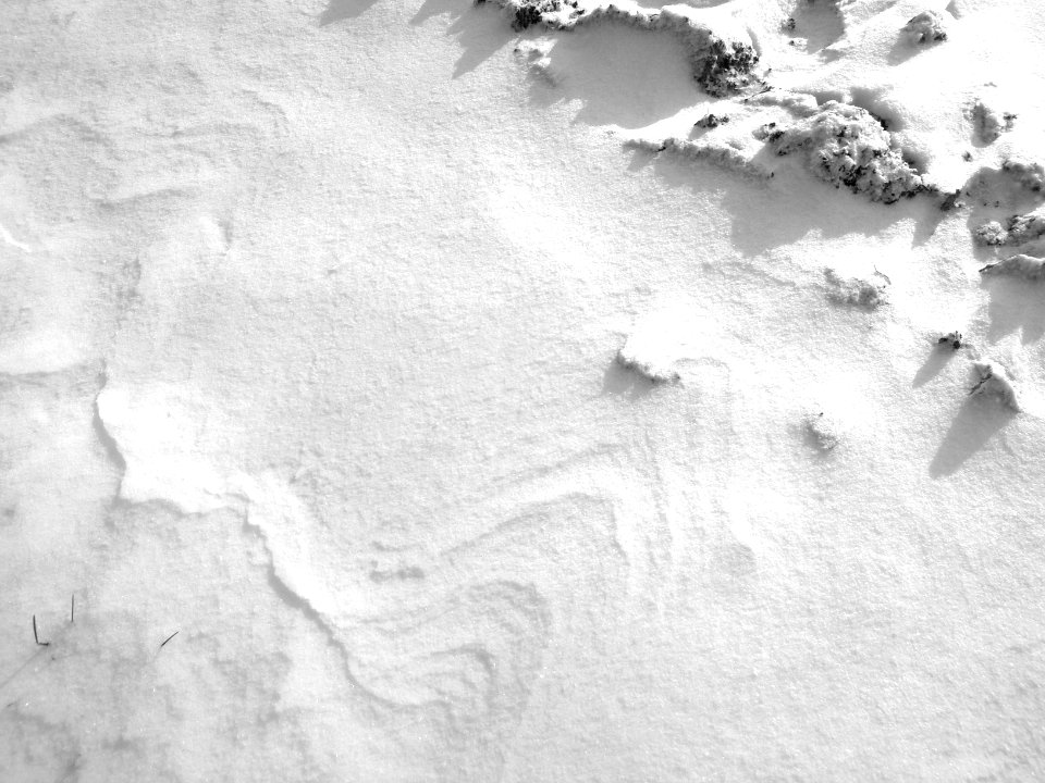 noch mehr Schnee III