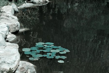 Drunken Moon Lake @ NTU