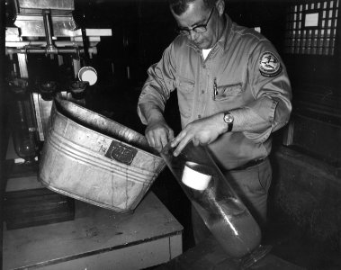 Loading walleye eggs in MacDonald jars photo