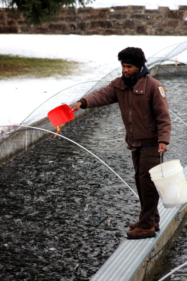 Feeding Fish in Raceways