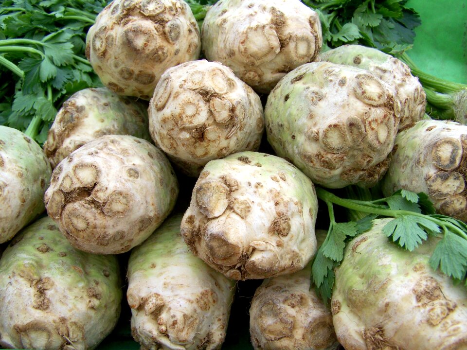 Celery vegetables food