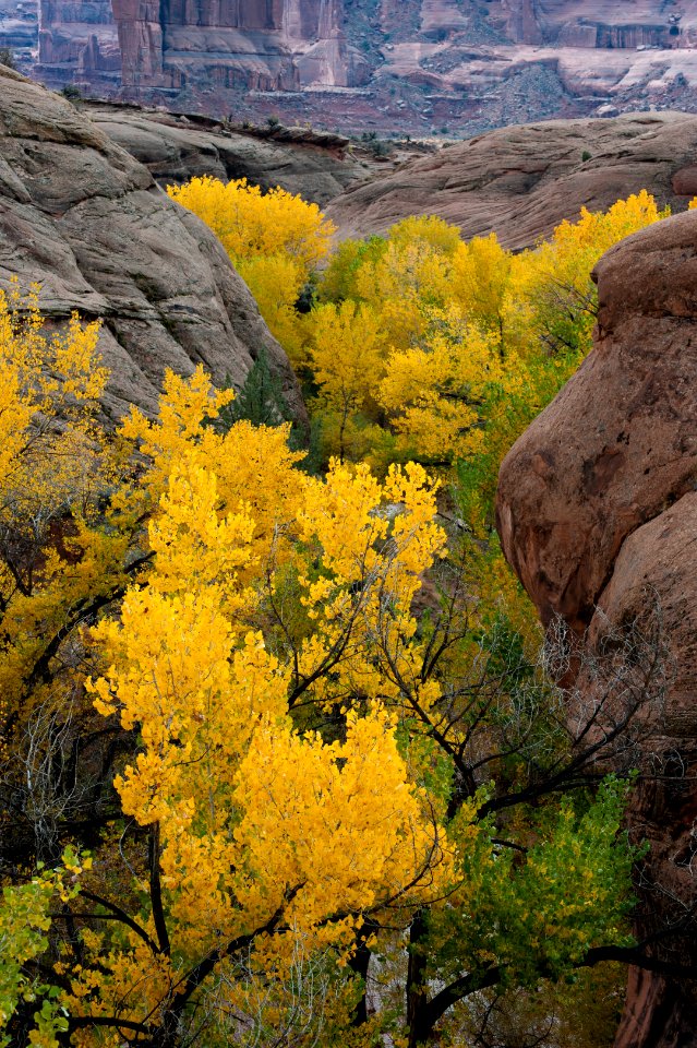 Courthouse Wash, Autumn Leaves