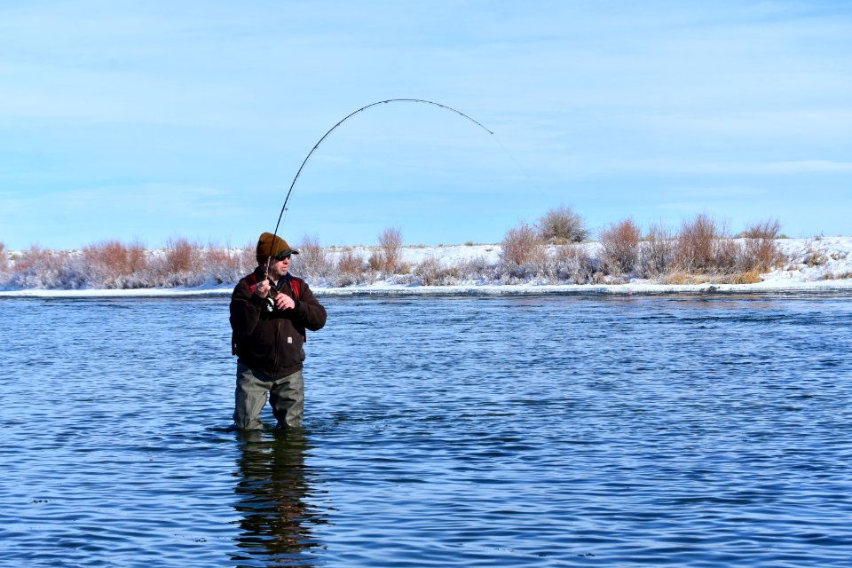 Winter time flyfishing at Seedskadee National Wildlife Refuge