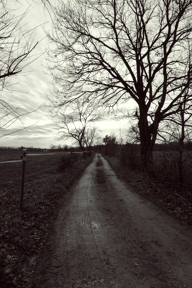 2016-01-24 01-01-13