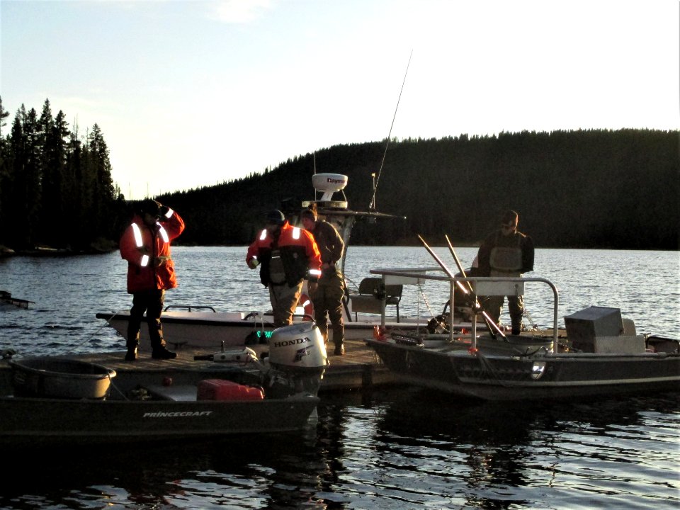 Lewis Lake Sampling