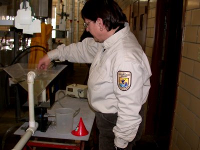 Counting burbot fry